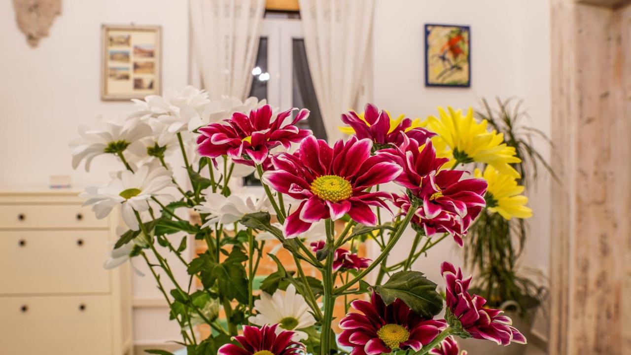 Cote Ensoleille Apartman Póla Kültér fotó